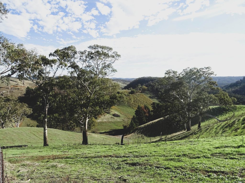 paisajes de campo en Australia, Adelaide