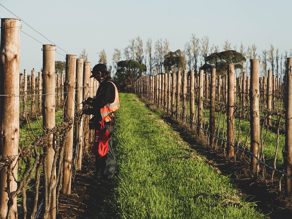 trabajar en australia