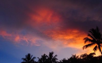 Parque Nacional Daintree y el Rainforest Australiano: una historia de encuentros