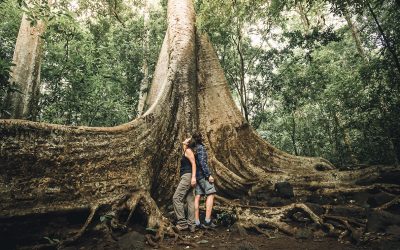 Parque Nacional Cat Tien: en búsqueda de la vida salvaje en Vietnam.