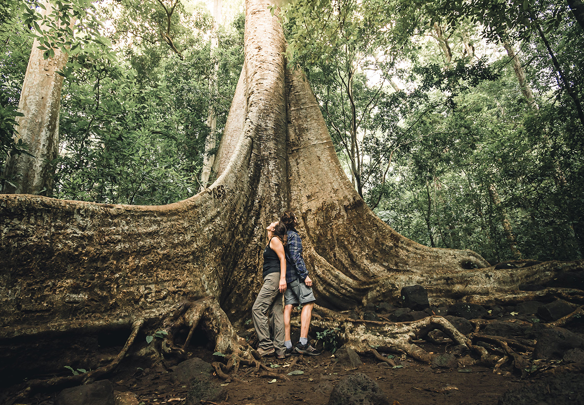 Parque Nacional Cat Tien, en búsqueda de la vida salvaje de Vietnam