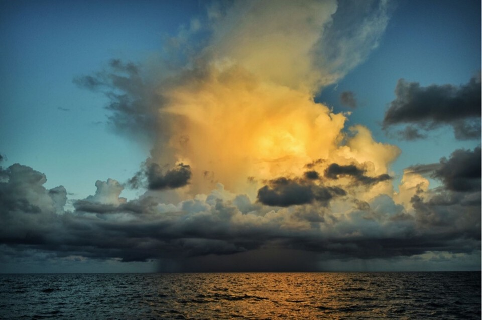 atardecer en cape tribulation