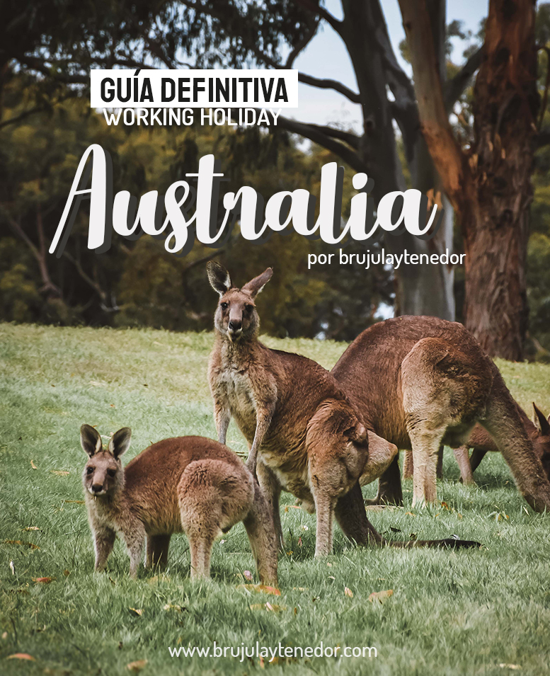 guia definitiva working holiday australia