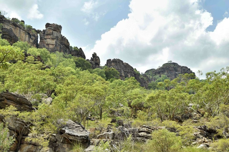 parque naciona kakadu