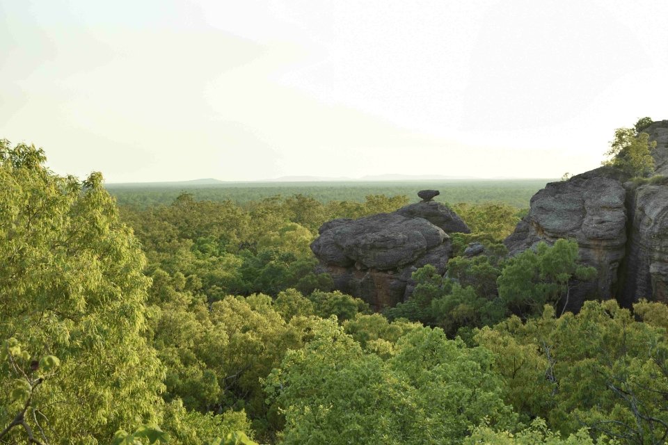 vistas a la selva en Kakadu