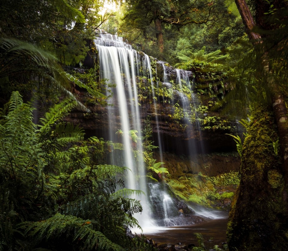 Russel Falls en Mount Field