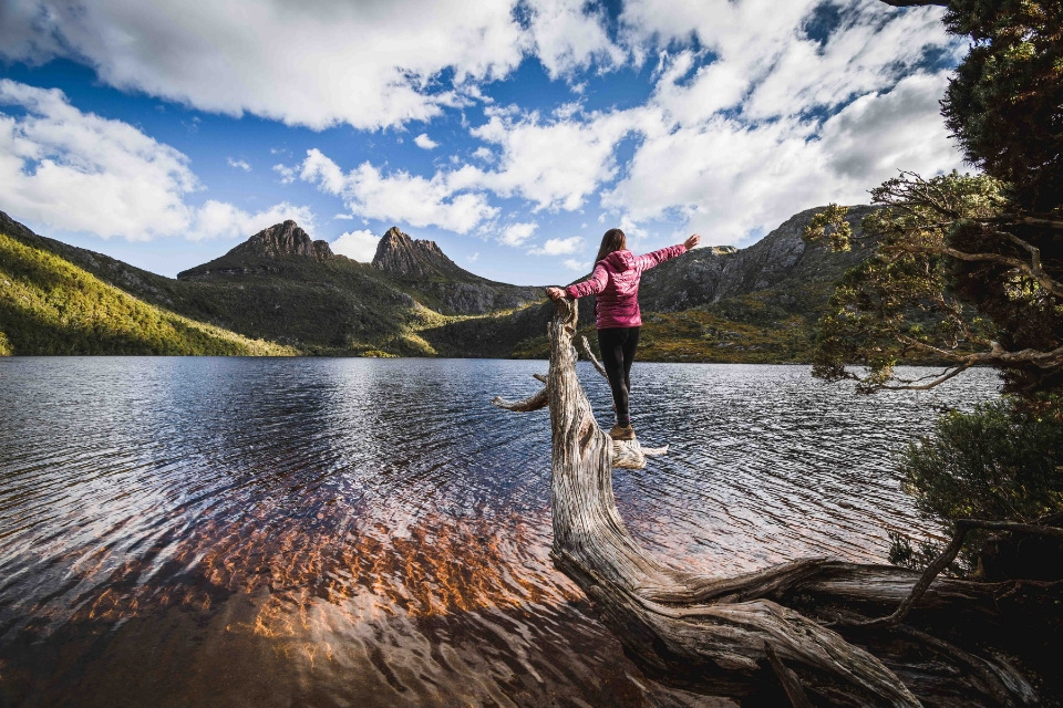 vistas en cradle mountain