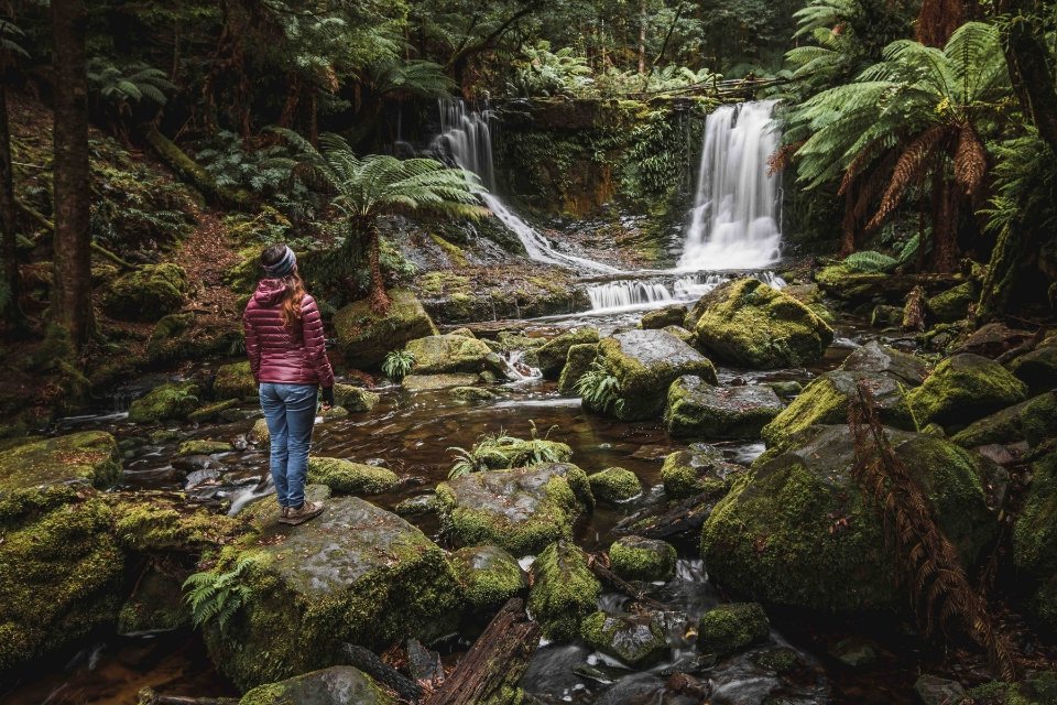 Cascadas en los bosques de Tarkine