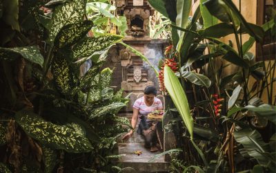 Guía Ubud – Qué ver y qué hacer en el corazón de Bali