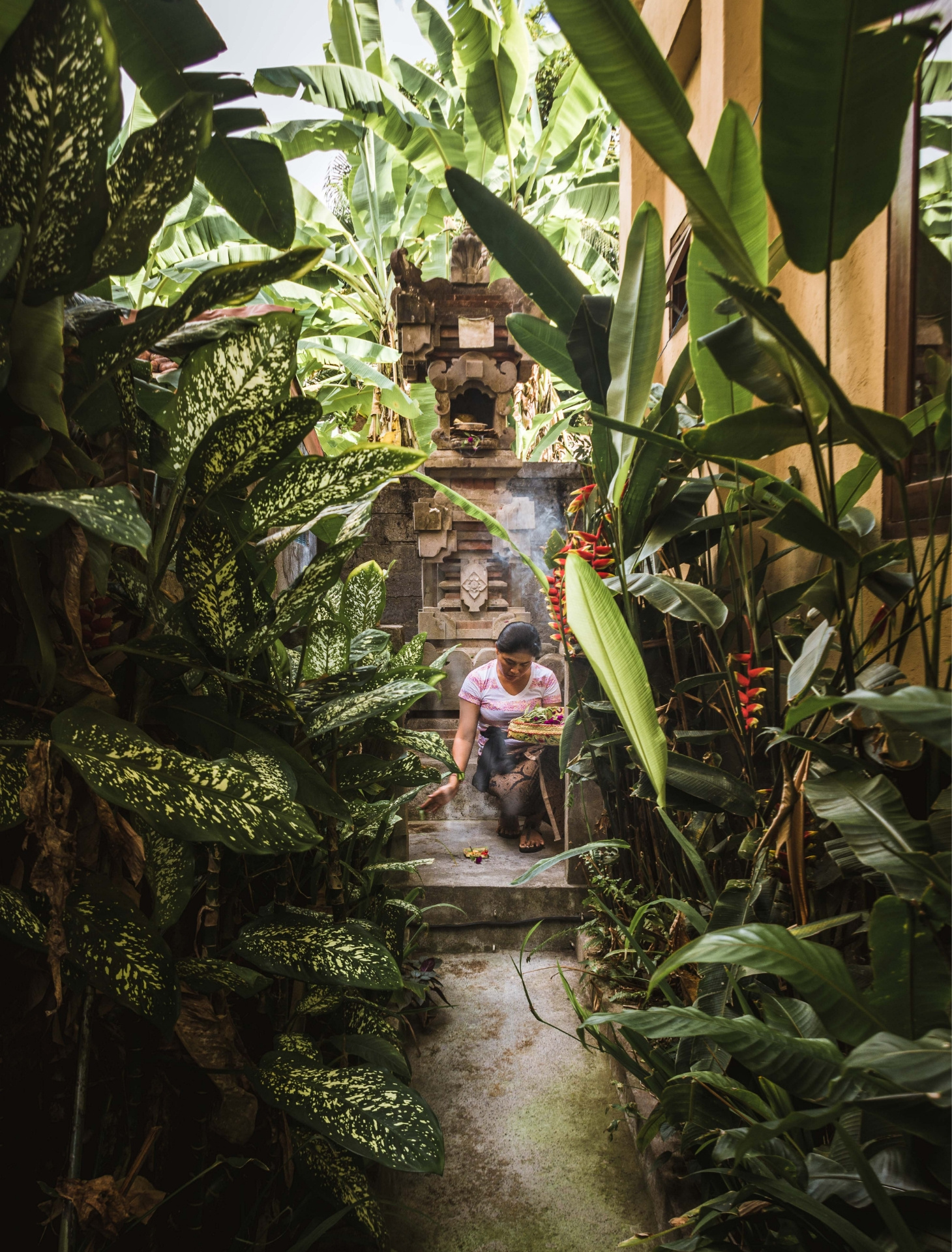 Guía Ubud – Qué ver y qué hacer en el corazón de Bali