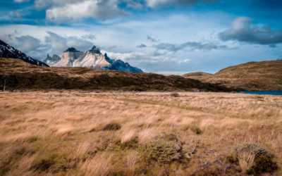 Guía para viajar a Torres del Paine 2023-2024 – El parque nacional más famoso de la Patagonia Chilena