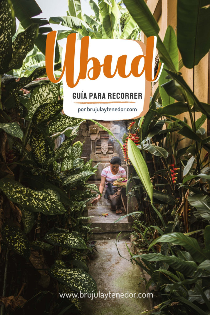 Guia que hacer en Ubud Bali