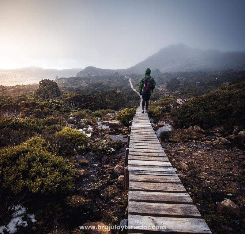 caminar por las pasarelas de los parques nacionales es aportar al turismo sustentable