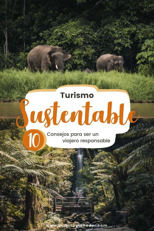 turismo sustentable pin de pinterest