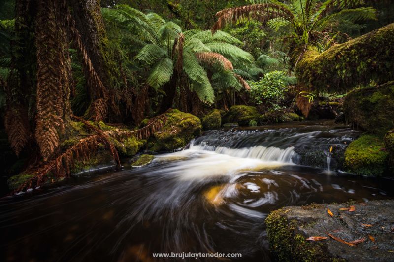 parque nacional 