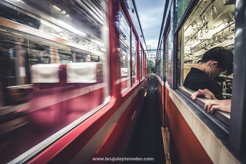 prefiere el tren como medio de transporte