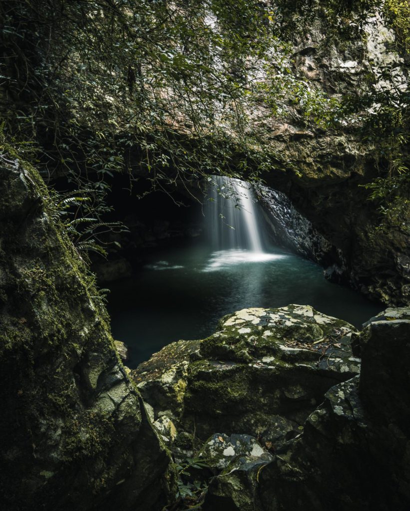 Parque Nacional Springbrook en Australia Gold Coast