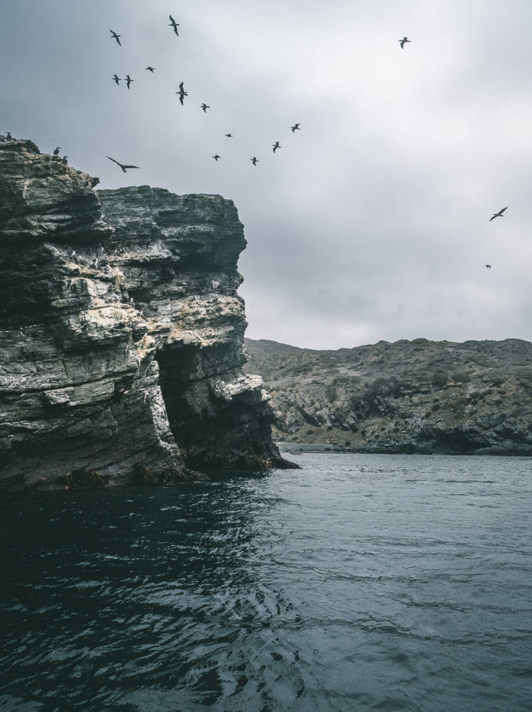 isla damas en punta de choros