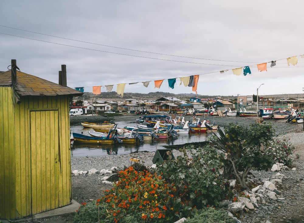 caleta chañaral de aceituno