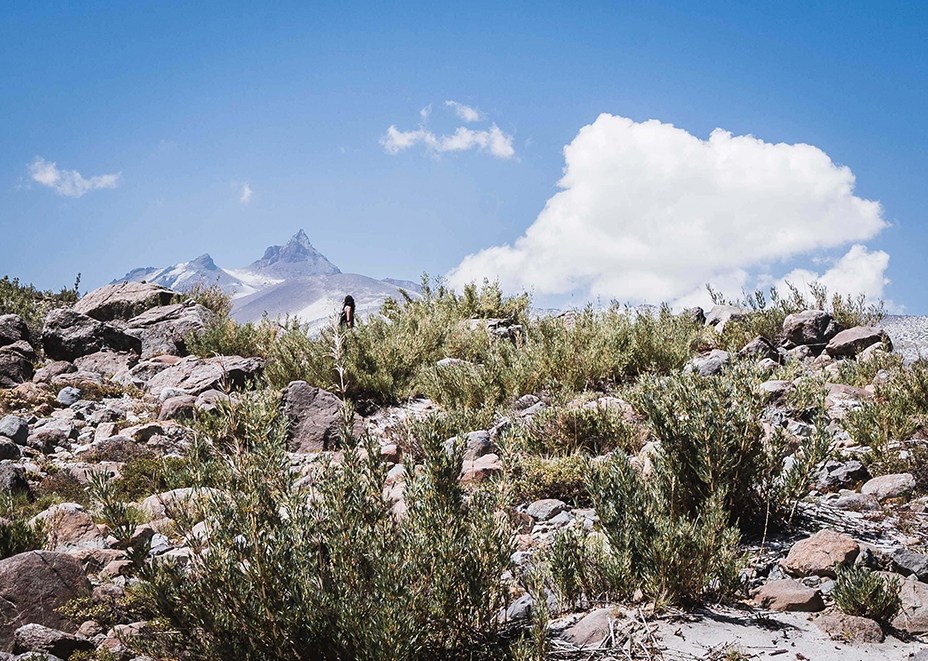 Valle del indio, sendero El Bolsón, Maule, Chile