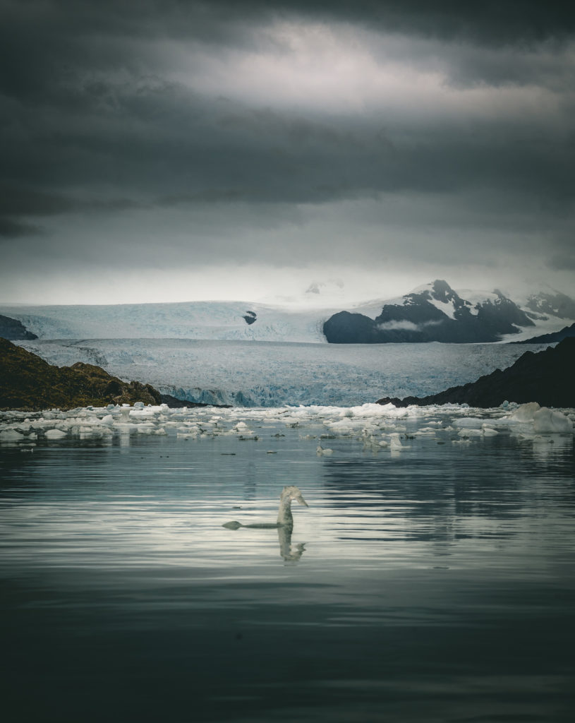 Glaciar Jorge Montt.
Qué ver y qué hacer en Caleta Tortel