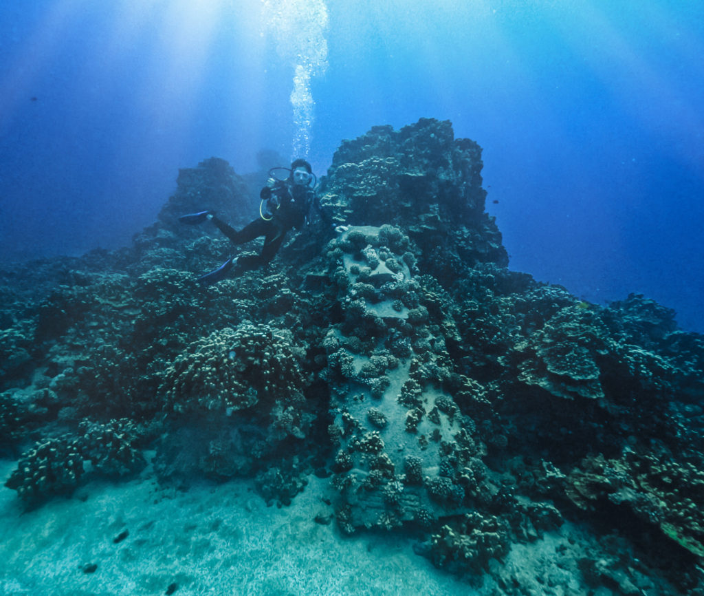 Buceo Isla de Pascua